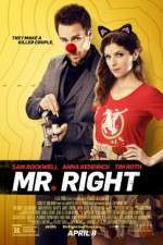 Watch Mr. Right Goojara