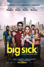 Watch The Big Sick Goojara