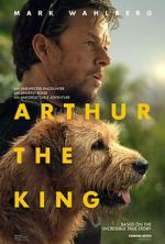 Watch Arthur the King Goojara
