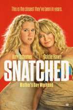 Watch Snatched Goojara