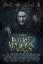 Watch Into the Woods Goojara