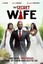 Watch The Secret Wife Goojara