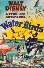 Watch Water Birds (Short 1952) Goojara