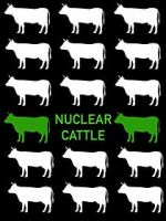 Watch Nuclear Cattle Goojara