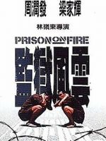 Watch Prison on Fire Goojara