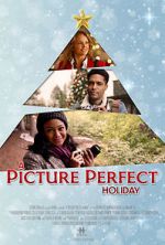 Watch A Picture Perfect Holiday Goojara