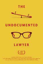 Watch The Undocumented Lawyer Goojara