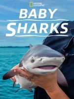 Watch Baby Sharks Goojara