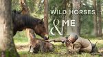 Watch Wild Horses, the Rockies and Me (TV Special 2025) Goojara