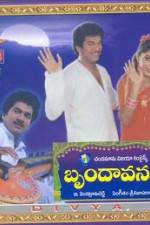 Watch Brundavanam Goojara