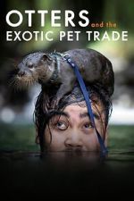 Watch Otters and the Exotic Pet Trade Goojara