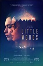 Watch Little Woods Goojara