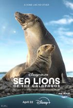 Watch Sea Lions of the Galapagos (TV Special 2025) Goojara