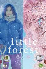 Watch Little Forest: Winter/Spring Goojara