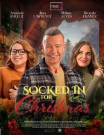 Watch The Great Christmas Snow-In Goojara