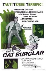 Watch The Cat Burglar Goojara
