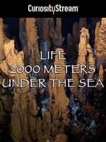 Watch Life 2,000 Meters Under the Sea Goojara