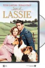 Watch Son of Lassie Goojara