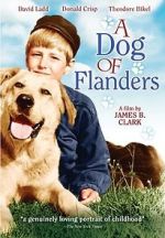 Watch A Dog of Flanders Goojara