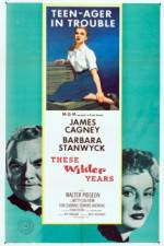 Watch These Wilder Years Goojara