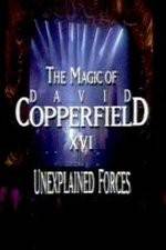 Watch The Magic of David Copperfield XVI Unexplained Forces Goojara