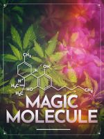 Watch Magic Molecule Goojara