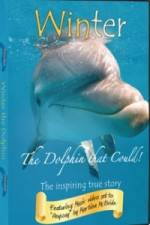Watch Winter The Dolphin That Could Goojara