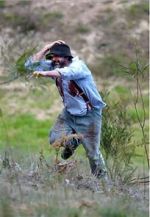 Watch Riot or Revolution: Eureka Stockade 1854 Goojara