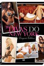 Watch WWE Divas Do New York Goojara