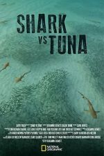 Watch Shark vs Tuna Goojara