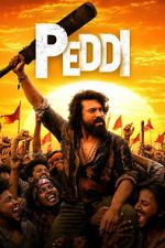 Watch Peddi Goojara