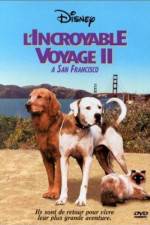 Watch Homeward Bound II Lost in San Francisco Goojara