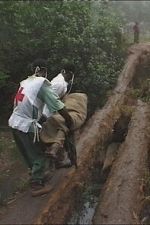 Watch Kisangani Diary Goojara