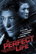 Watch A Perfect Life Goojara