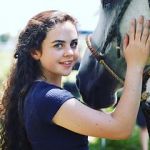 Watch Wildfire: The Legend of the Cherokee Ghost Horse Goojara