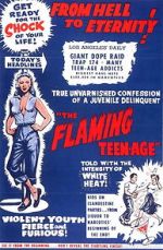 Watch The Flaming Teenage Goojara