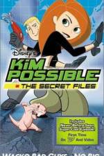 Watch "Kim Possible" Attack of the Killer Bebes Goojara