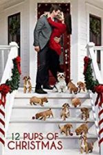 Watch 12 Pups of Christmas Goojara