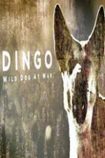Watch Dingo Wild Dog at War Goojara