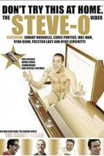 Watch Don't Try This at Home The Steve-O Video Goojara