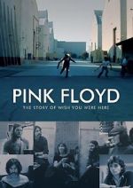 Watch Pink Floyd: The Story of Wish You Were Here Goojara