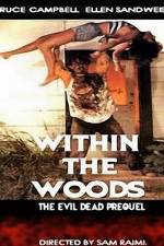 Watch Within the Woods Goojara