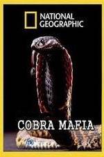 Watch National Geographic Cobra Mafia Goojara