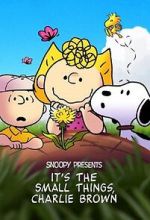 Watch Snoopy Presents: It's the Small Things, Charlie Brown (TV Special 2022) Goojara