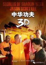 Watch Secrets of Shaolin with Jason Scott Lee Goojara