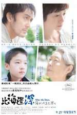 Watch After the Storm Goojara