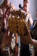 Watch Iraq's Lost Treasure Goojara