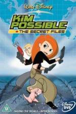 Watch Kim Possible The Secret Files Goojara