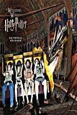 Watch Harry Potter and the Forbidden Journey Goojara