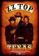 Watch ZZ Top: That Little Ol\' Band from Texas Goojara